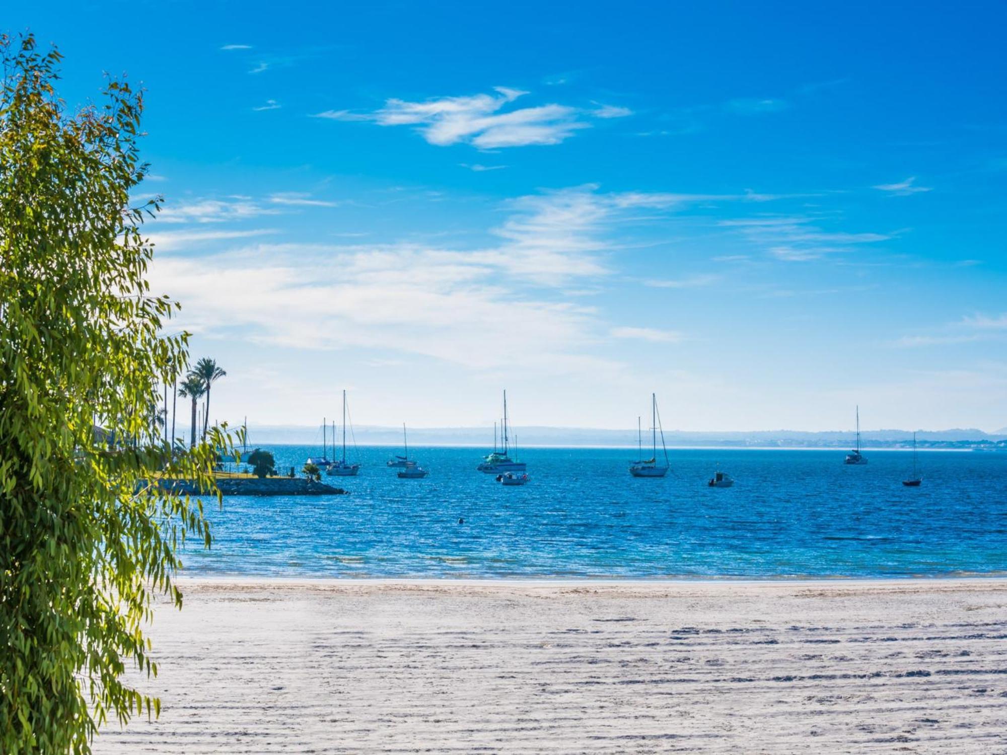 Sea-view In * Alcudia (Mallorca)